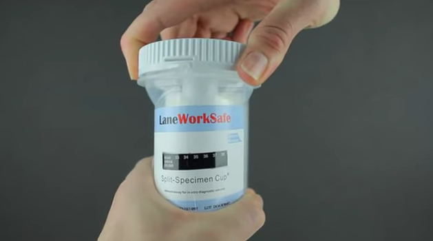 Split Specimen Testing 101: What You Need To Know Split Specimen Cup for Drug Test