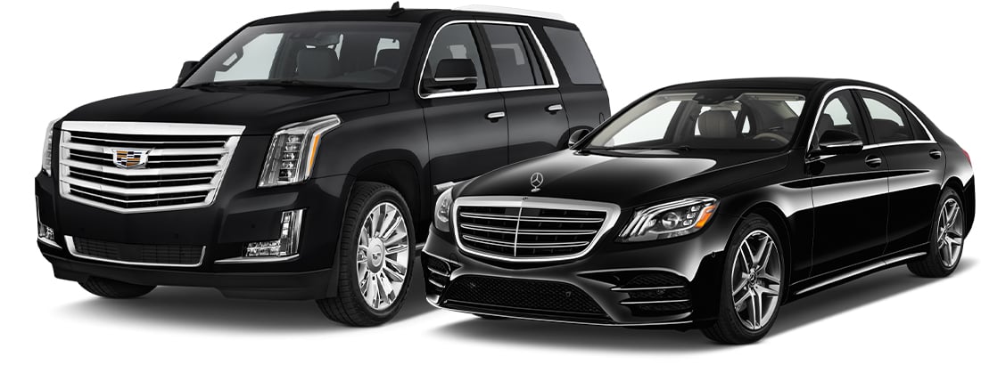 PUC & TLC TLC & PUC Drug And Alcohol Testing - Cars